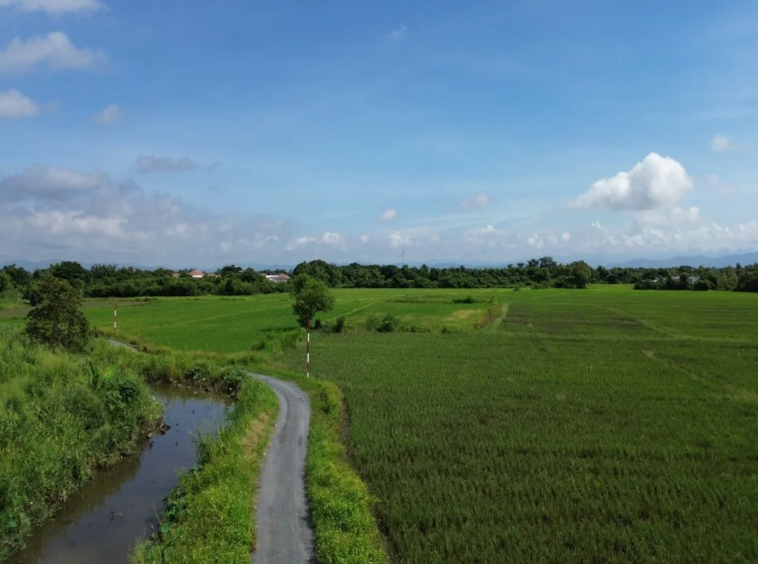 114 Rai Prime Land for Sale in San Kamphaeng