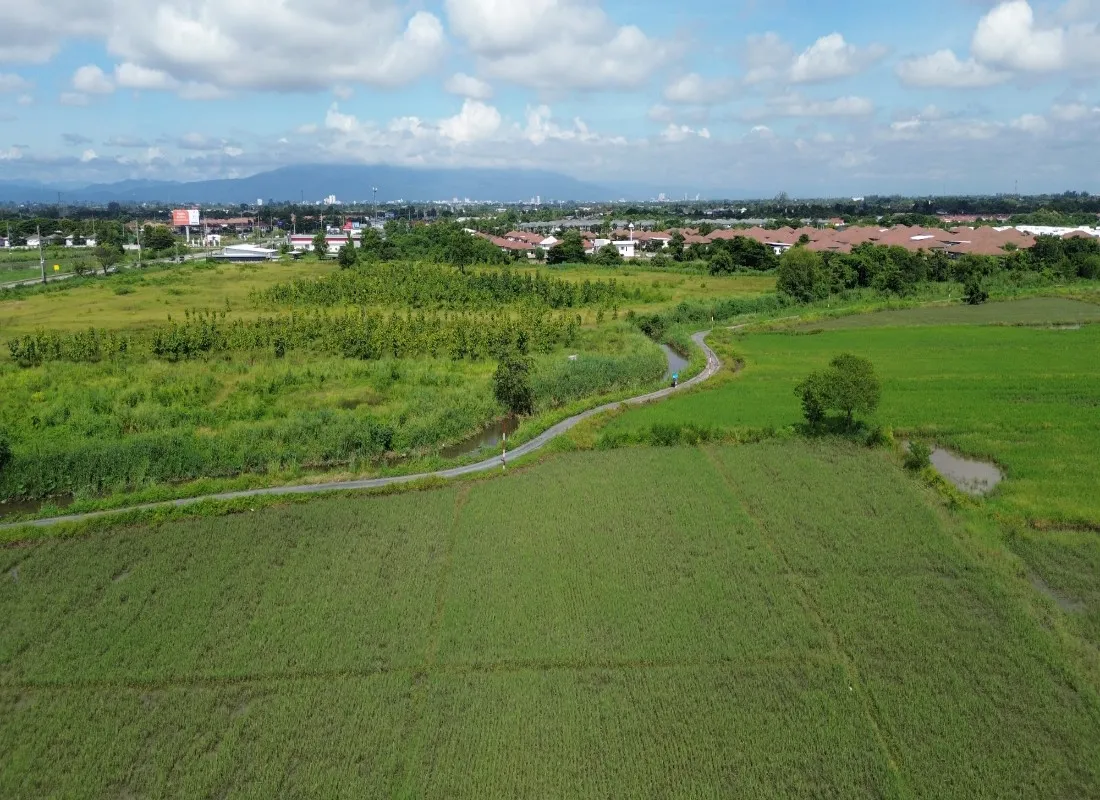 114 Rai Prime Land for Sale in San Kamphaeng