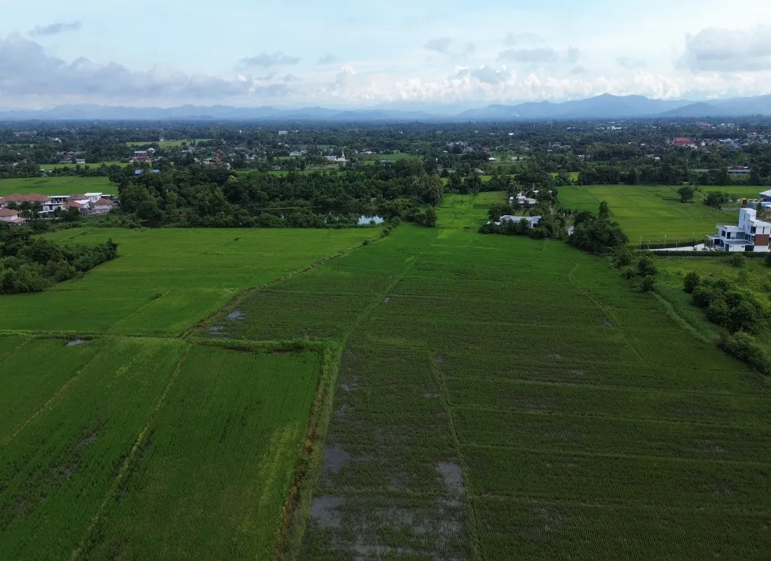 114 Rai Prime Land for Sale in San Kamphaeng