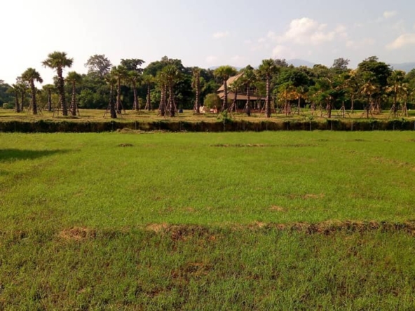 Tranquil Mae Rim Land for sale Chiang Mai | 2 Rai