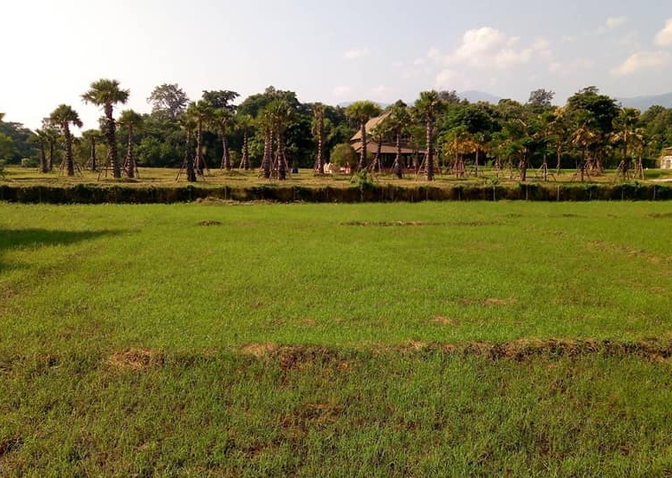 Tranquil Mae Rim Land for sale Chiang Mai | 2 Rai