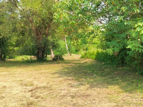 11 Rai Land for Sale near Chiang Mai - Great Location.-CMP-7