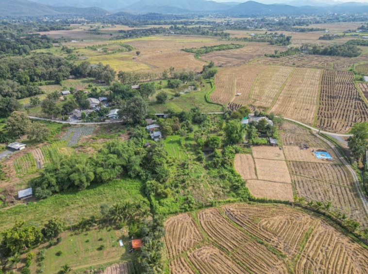 Vacant Land For Sale : Mae Pong