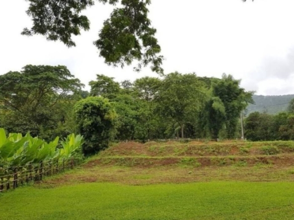 Beautiful land with mountain view for building a house or restaurant a small resort or a homestay.-J-NT014