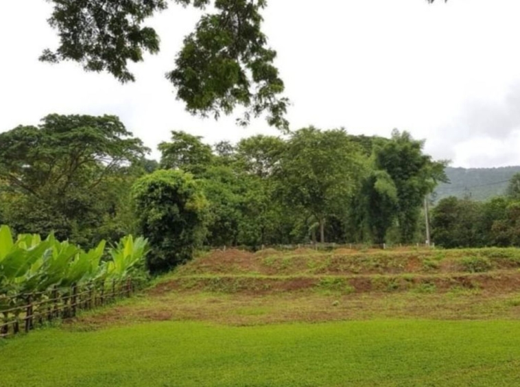 Beautiful land with mountain view for building a house or restaurant a small resort or a homestay.-J-NT014