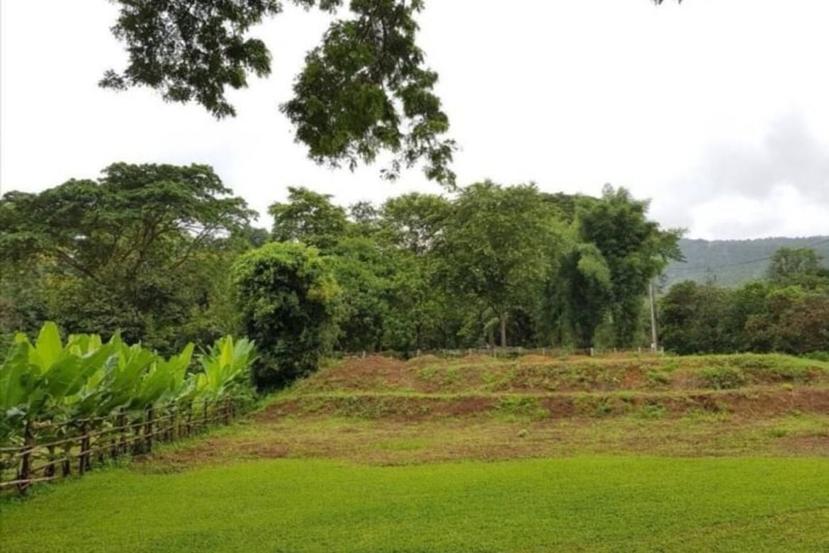 Beautiful land with mountain view for building a house or restaurant a small resort or a homestay.-J-NT014