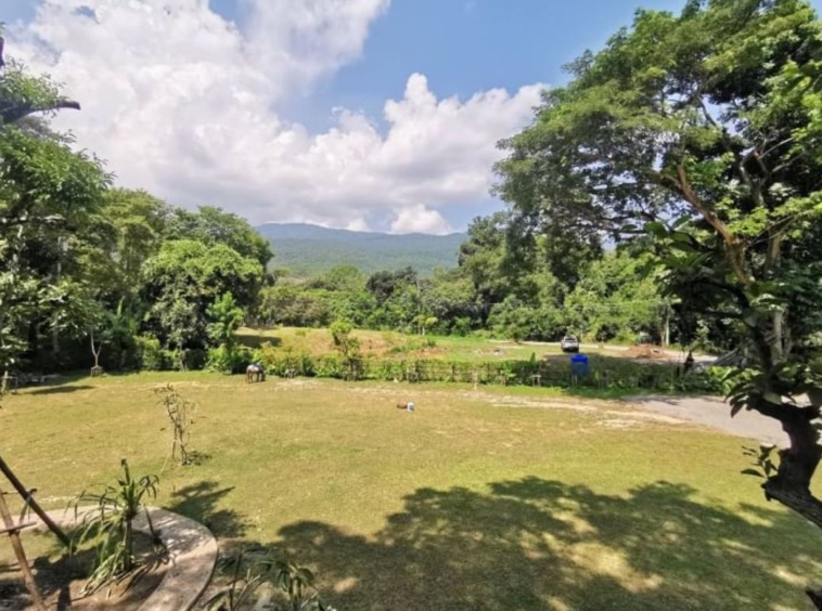 Beautiful land with mountain view for building a house or restaurant a small resort or a homestay.-J-NT014