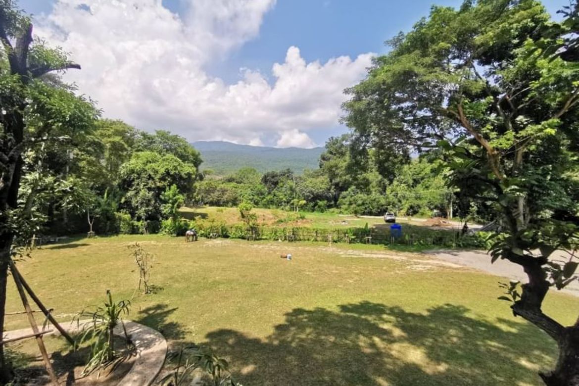 Beautiful land with mountain view for building a house or restaurant a small resort or a homestay.-J-NT014