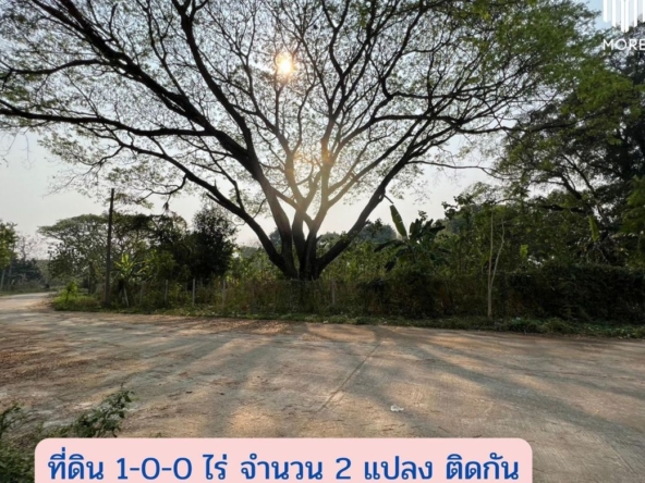 MORE-123LS Land for sale in Soi Wat Don Kaew