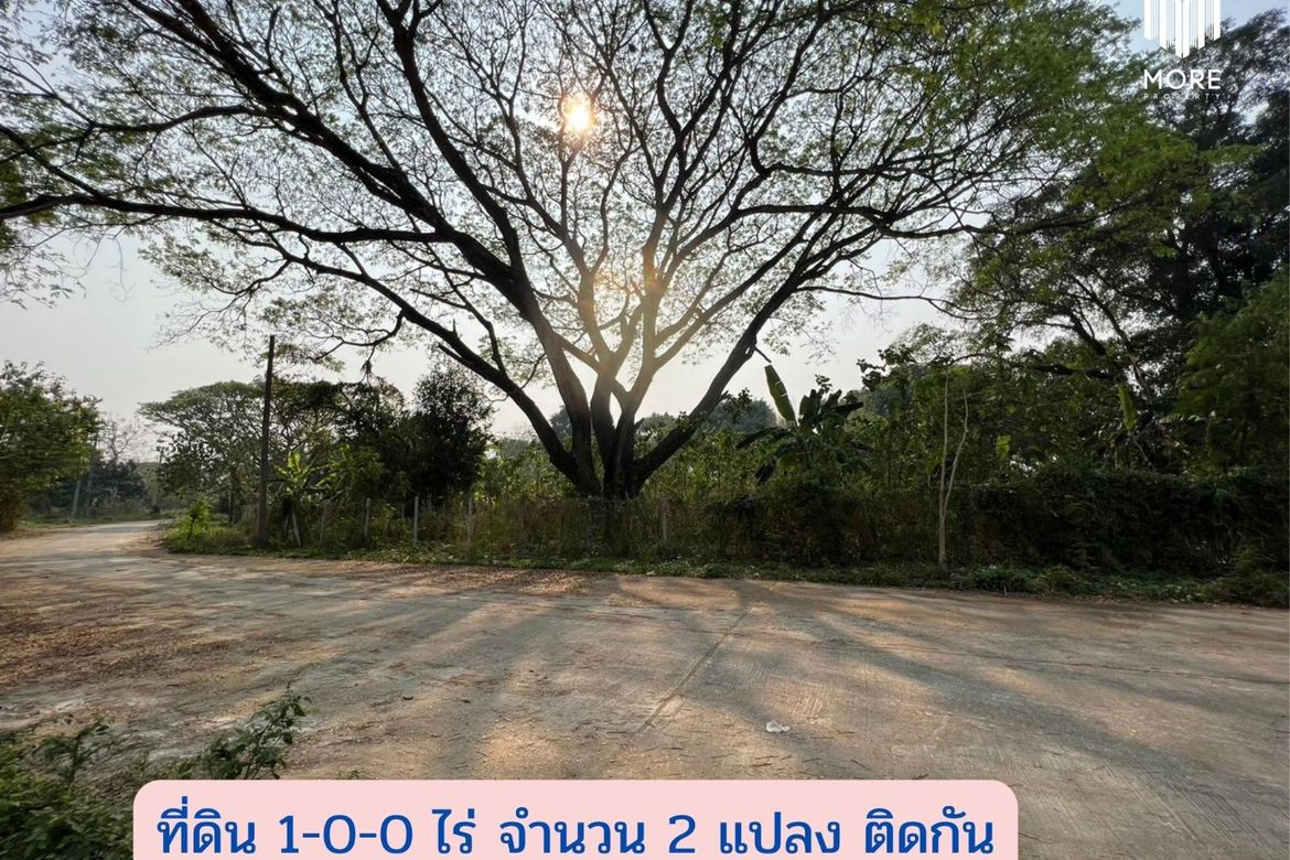 MORE-123LS Land for sale in Soi Wat Don Kaew