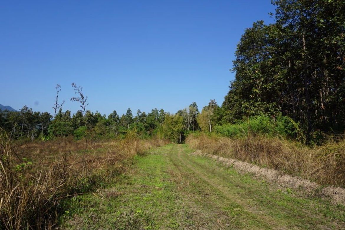 Land for Sale in Mae Rim area