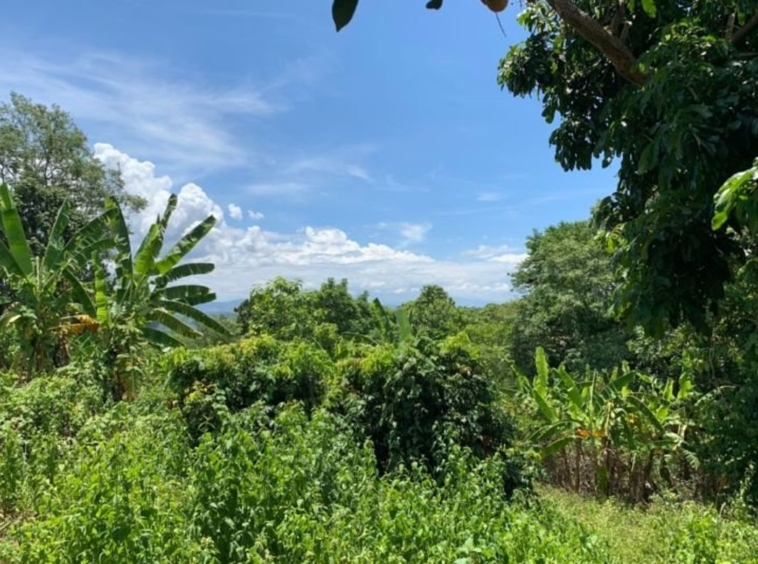 A beautiful plot of land for sale in Mae Rim