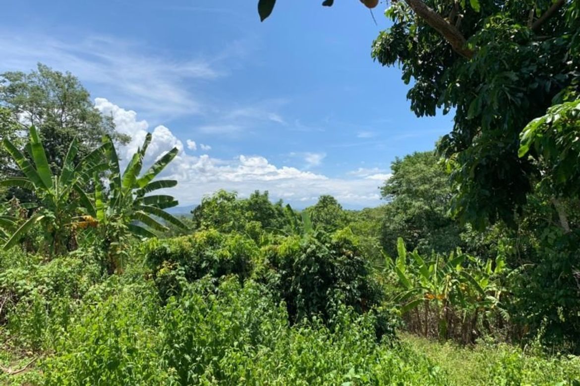 A beautiful plot of land for sale in Mae Rim