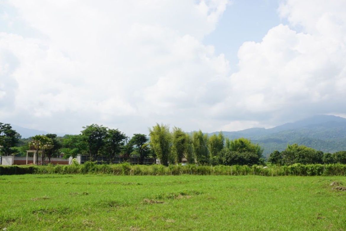 Large plot of land with mountain views for sale in Mae Rim