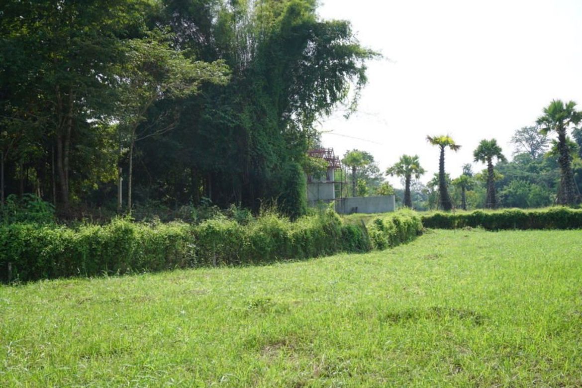 Large plot of land with mountain views for sale in Mae Rim