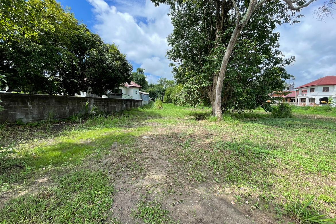 Beautiful 2 rais plot of land for sale in Mae Rim-P-PLS831