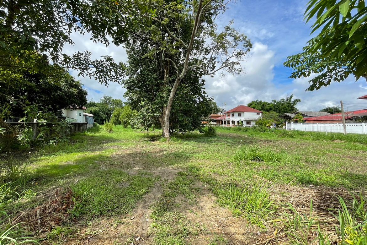 Beautiful 2 rais plot of land for sale in Mae Rim-P-PLS831