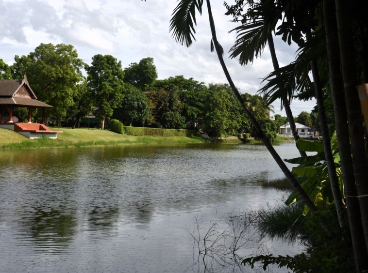 A beautiful plot by the lake for sale in Mae Rim