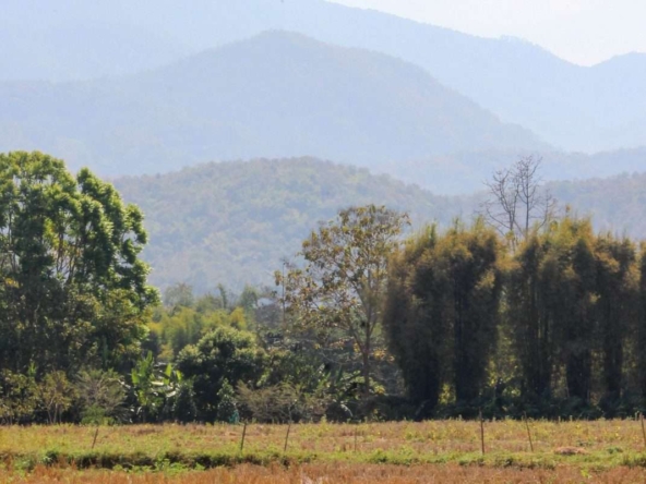 Land For Sale Near Four Seasons Hotel Mae Rim-PH-LAND136