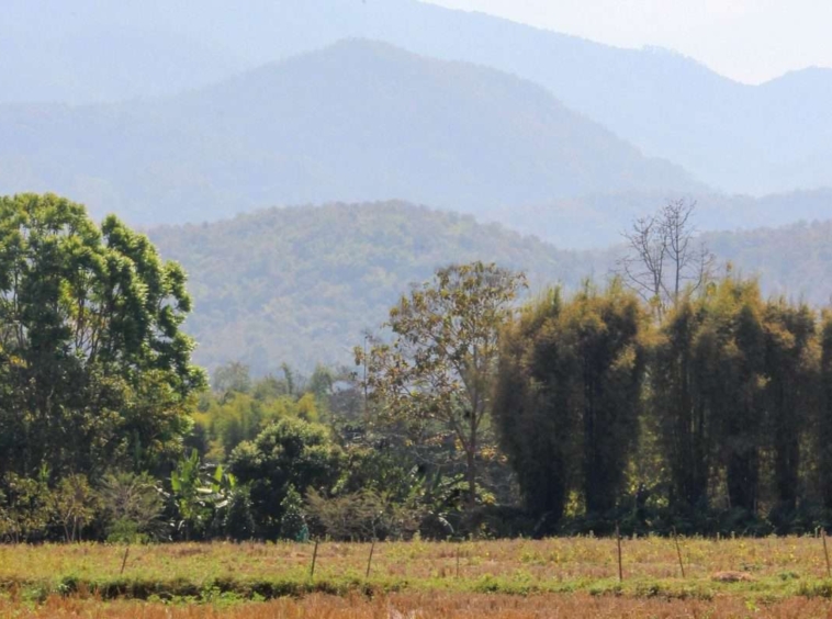 Land For Sale Near Four Seasons Hotel Mae Rim-PH-LAND136