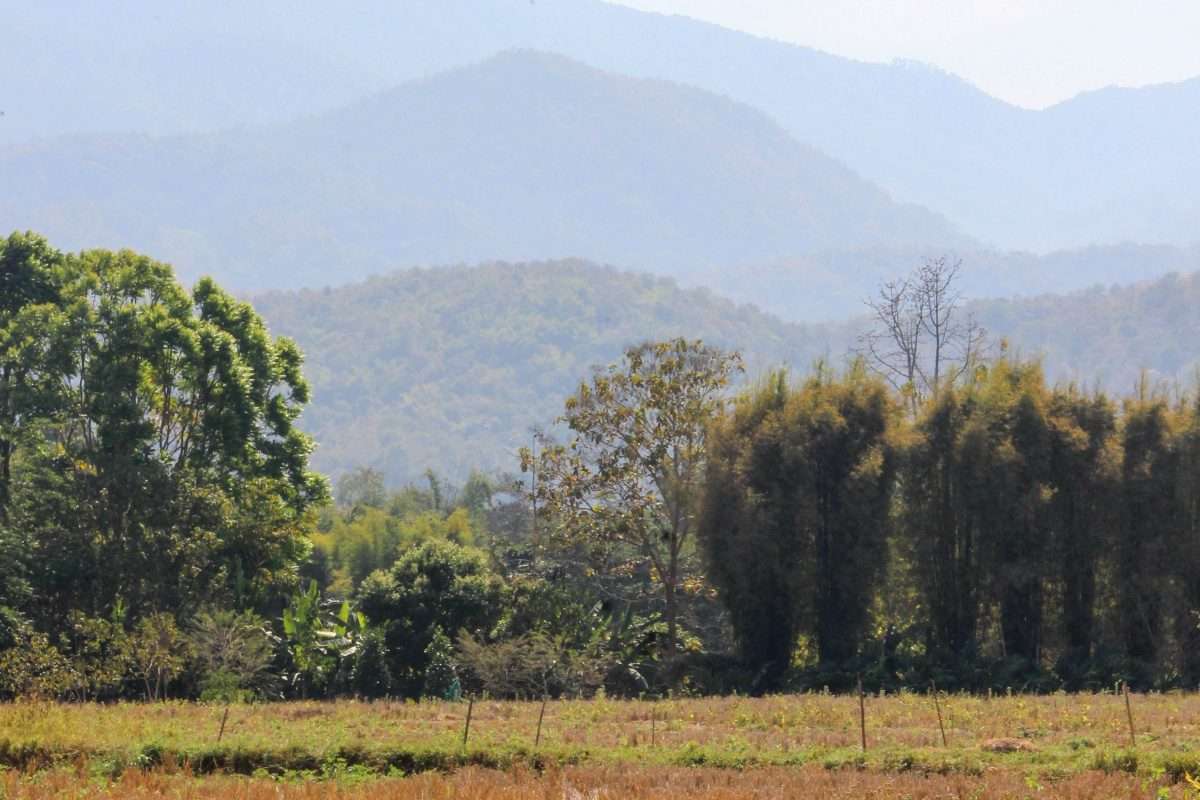 Land For Sale Near Four Seasons Hotel Mae Rim-PH-LAND136