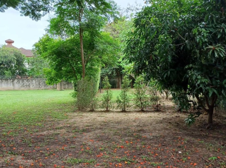 Land for sale near Mee Chok Plaza