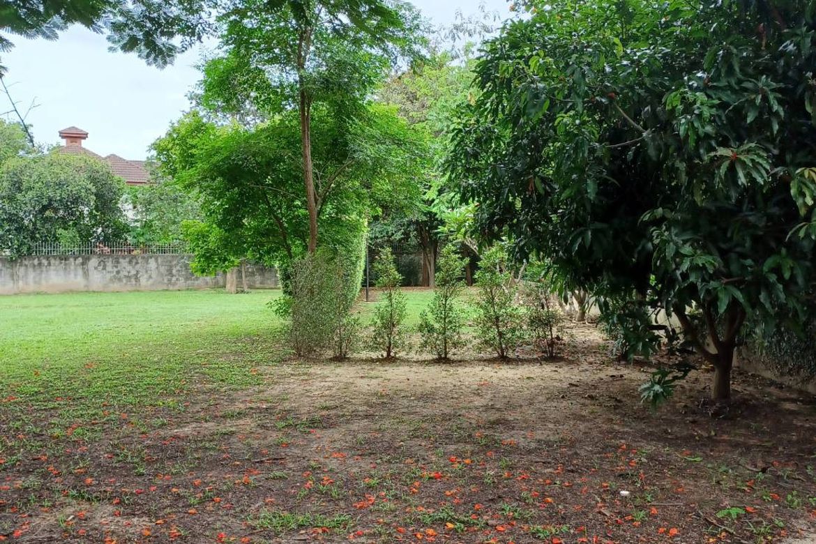 Land for sale near Mee Chok Plaza