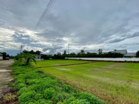 Large plot for sale in San Khampeang