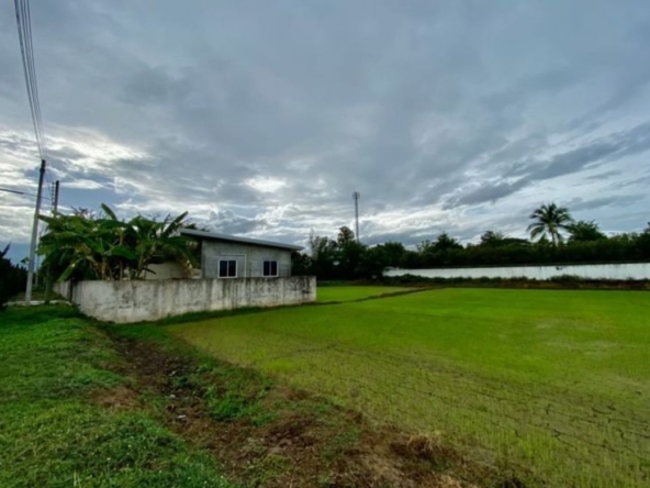 Large plot for sale in San Khampeang