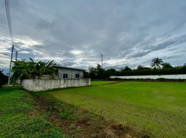 Large plot for sale in San Khampeang