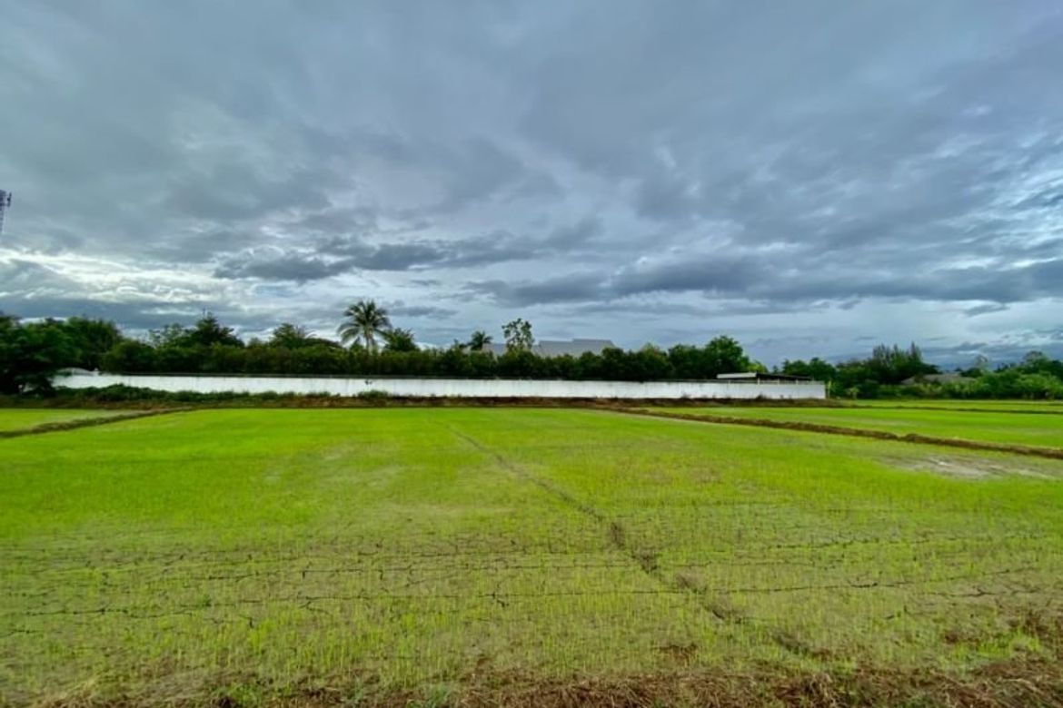 Large plot for sale in San Khampeang