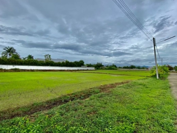 Large plot for sale in San Khampeang