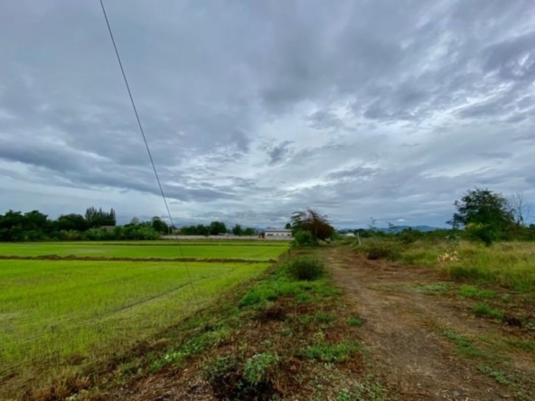 Large plot for sale in San Khampeang