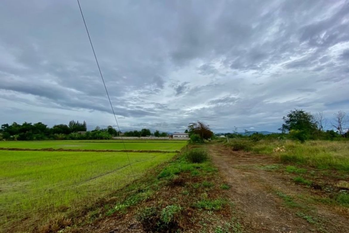 Large plot for sale in San Khampeang