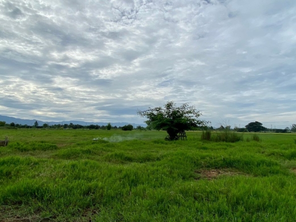 A nice plot for sale in Sankhampeang