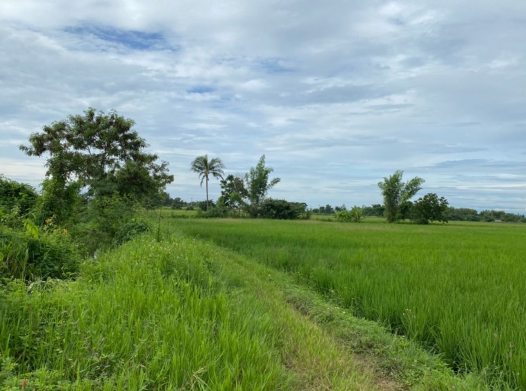 A nice plot for sale in Sankhampeang