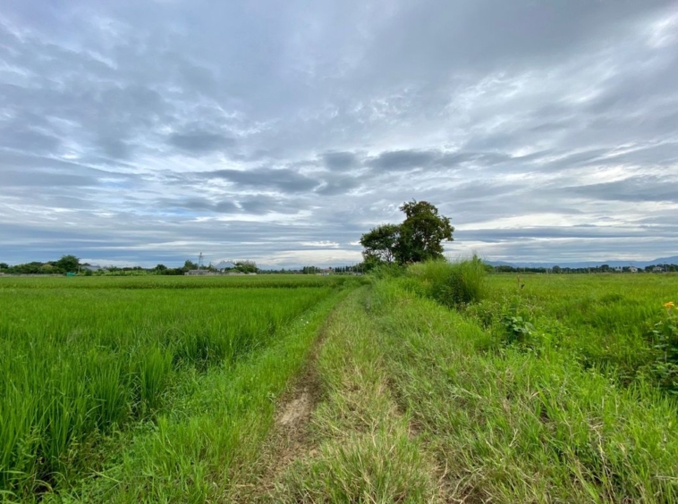 A nice plot for sale in Sankhampeang