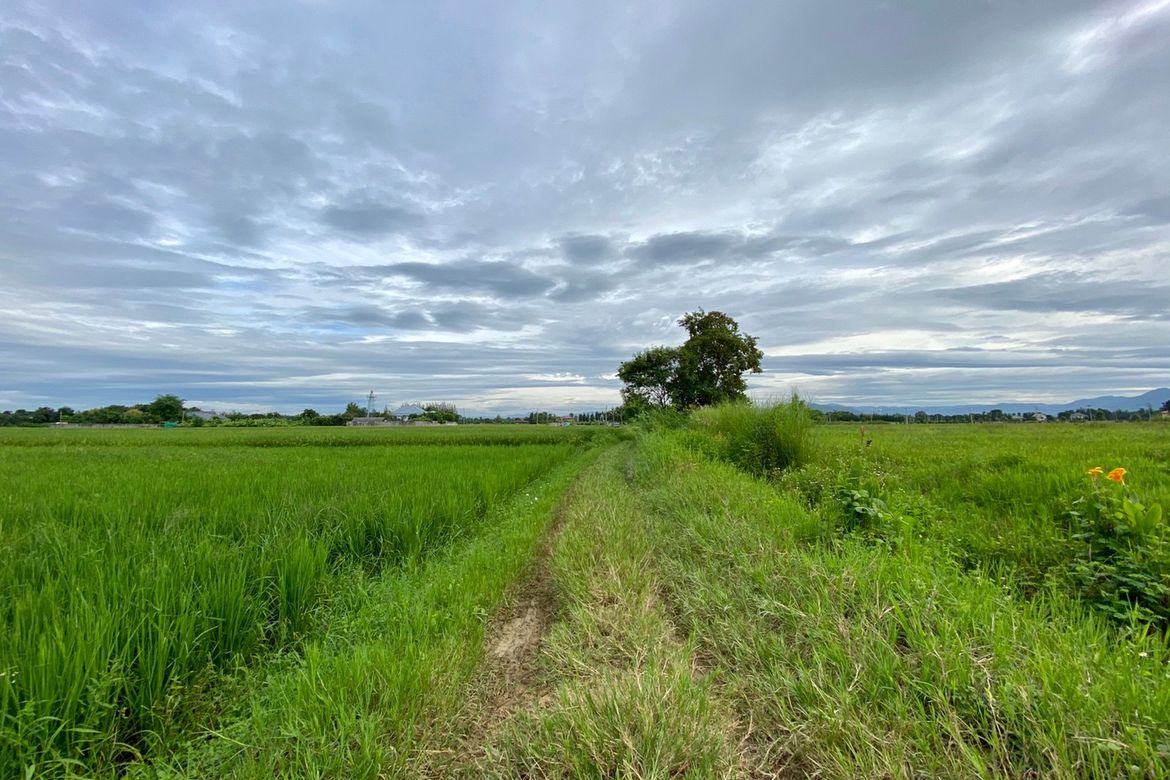 A nice plot for sale in Sankhampeang