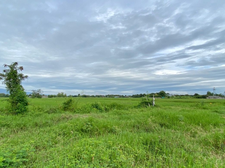 A nice plot for sale in Sankhampeang