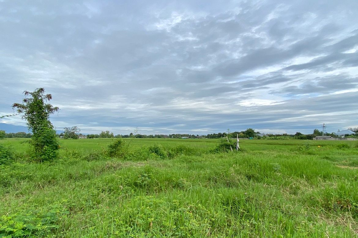 A nice plot for sale in Sankhampeang