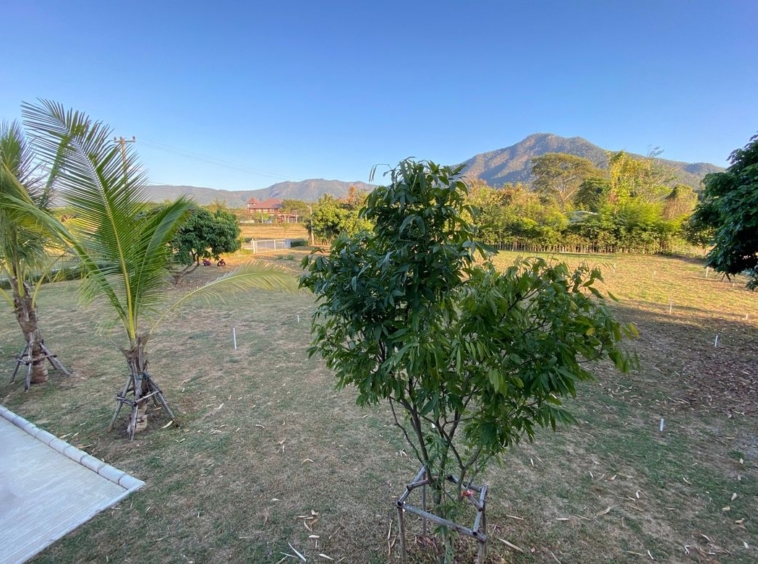 A nice plot with Mountain View for sale in Mae On-P-PLS878