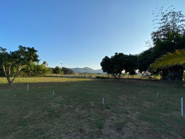 A nice plot with Mountain View for sale in Mae On-P-PLS878