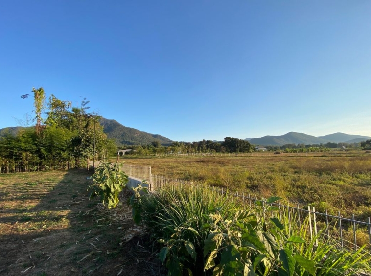 A nice plot with Mountain View for sale in Mae On-P-PLS878