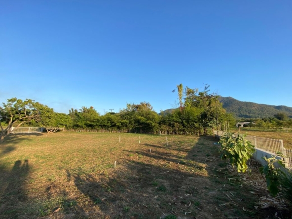 A nice plot with Mountain View for sale in Mae On-P-PLS878