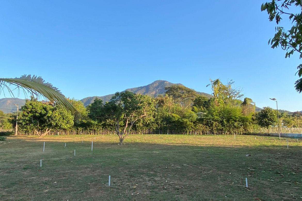 A nice plot with Mountain View for sale in Mae On-P-PLS878