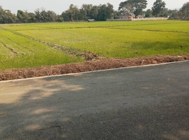 Large plot for sale in Sankhampeang