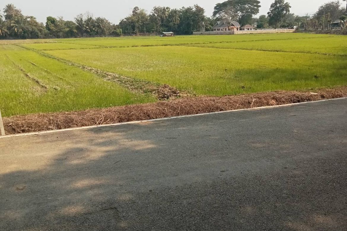 Large plot for sale in Sankhampeang