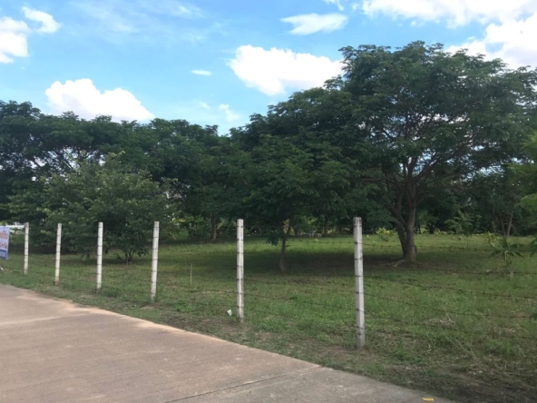 A nice plot of land for sale in San Sai