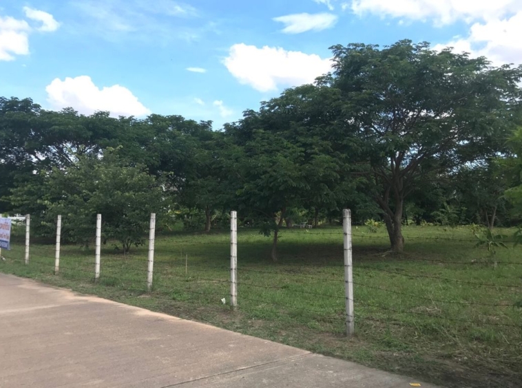 A nice plot of land for sale in San Sai