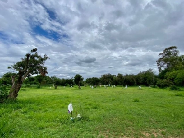 A nice plot for sale in San Sai